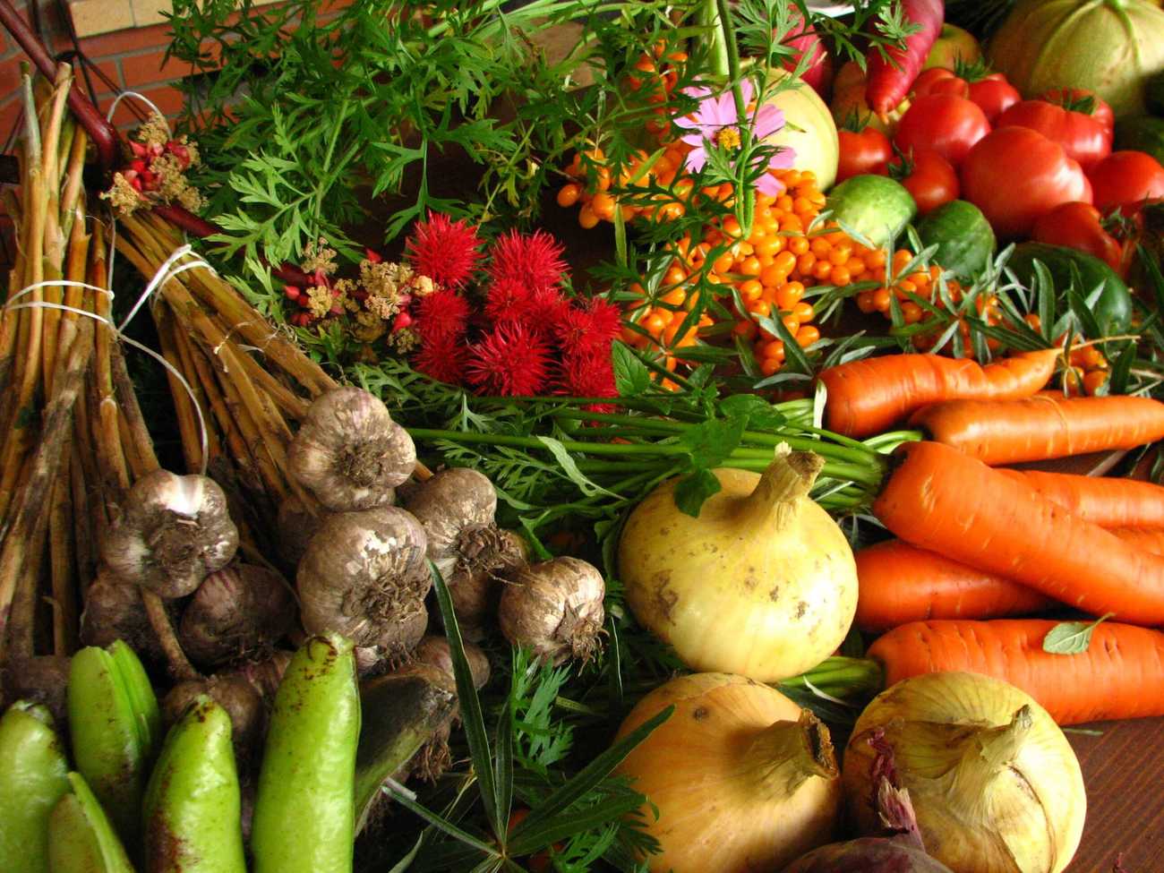 colorful-vegetables.jpeg -